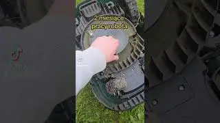 Parkside mowing robot after 2 months of work 
