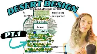 Innovative Permaculture Strategies for Desert Landscape - Water Harvesting and more!