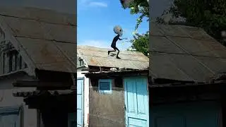 The Alien in my yard 
