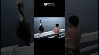 Costantine Manos cattura la bellezza nascosta della vita quotidiana e delle persone che incontra