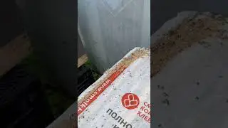 19 июля 2022 г.