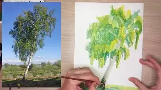 Как нарисовать березу