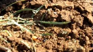 MVI 0470 xvid