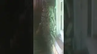 воспоминания из 2023...