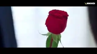 Клип к дораме Сад падающих звёзд