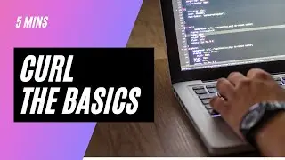 curl - 101 basics - GET, PUT, POST - postman for the commandline?