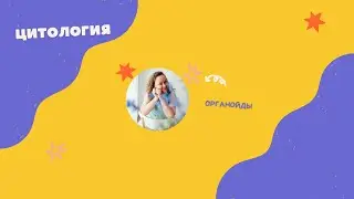Органоиды клетки. Функция и строение органоидов. Биология ЕГЭ.
