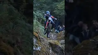 Red bull hardline 2022😵‍💫
