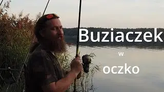 Nie całuj karpia w oko, bo...