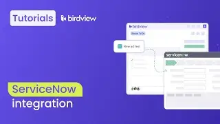 ServiceNow Integration | Birdview tutorial