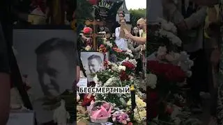 #навальный