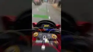 This Raccoon attacked a gangster.. 🥶