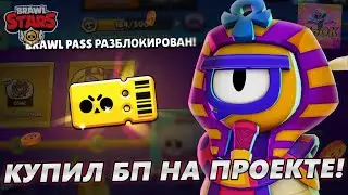покубка бп на проектусе