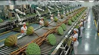 Inside a Modern Lotus Factory – From Muddy Plant to Seeds & Luxury Silk (Full Process)