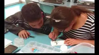 Robot seguidor de linea