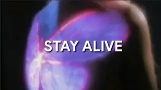 jungkook prod. suga - stay alive (tradução)