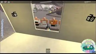 Sylenia's Homestore all the eggs