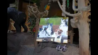 olieverf schilderij van jou huisdier laten maken.