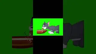 Green Screen Tom and Jerry Shorts | No Copyright | Tom and Jerry Short Video | 