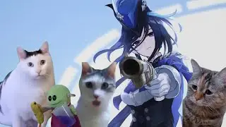 Pulling for Clorinde, but meme cats help me (and Fleefer)