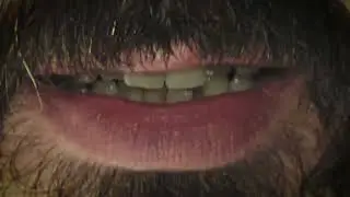 L'Arbre Bizarre - Prehistoric Reverie (Official Video)
