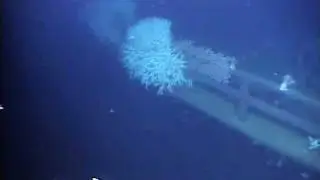 Lophelia II 2009: Wreck of the GulfPenn $