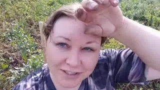 В Городе Живём Как в Деревне. Накопала ведро картошки @user-bn1um2my4w