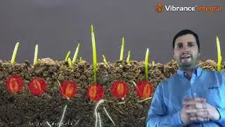 Cuatro estaciones Syngenta - 1° estación