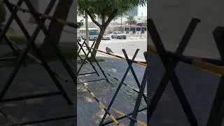 الحمام واليمام البري بالامارات