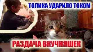 ТОЛИКА УДАРИЛО ТОКОМ😨,РАЗДАЧА ВКУСНЯШЕК,КУПИЛИ ОЧЕНЬ НУЖНУЮ ВЕЩЬ,ЧАСТЬ 2.