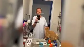 приколы людей и животных 5
