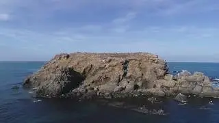 Dji Phantom 4 Pro / Riva
