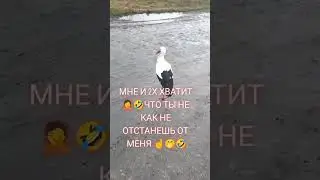 26 апреля 2023 г.
