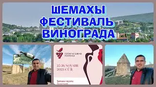 ШЕМАХЫ. ФЕСТИВАЛЬ ВИНОГРАДА