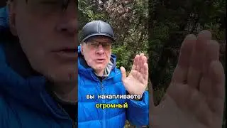 Проклиная других, по сути проклинаешь себя! 