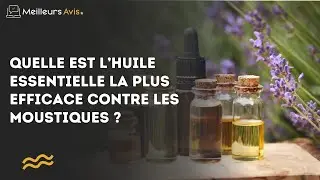 Quelle est l’huile essentielle la plus efficace contre les moustiques ?