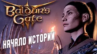 Baldur's Gate 3:  Новое начало