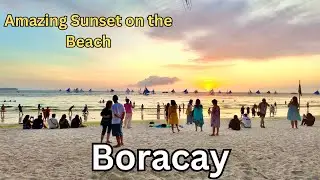 The Most Magical Beach in the World