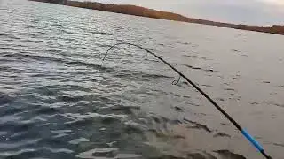 Лёха Парамон 1