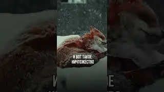 Измена мужа. Психолог Татьяна Другова