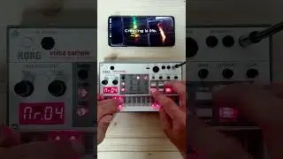 Volca Sample | Sample Pack: Vintage Vibes vs Modern Analog #shorts  #volcasample #samplepack