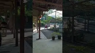first vedio 