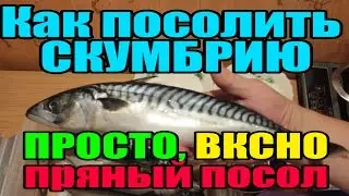 как посолить скумбрию - очень вкусный, пряный посол