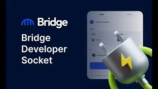 Bridge Network обзор The Bridge Socket
