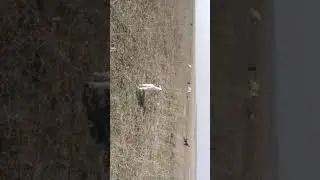 Пришла весна я вернулся на ютуб!
