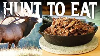 Korean BBQ Bulgogi... With VENISON??