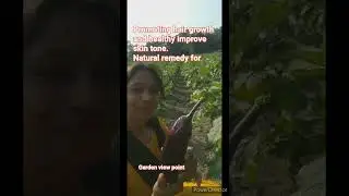 #brinjal plant #benefitofbringle #gardenviewpoint #shorts