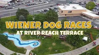 Wiener Dog Races at Riverfest in Farmington, NM