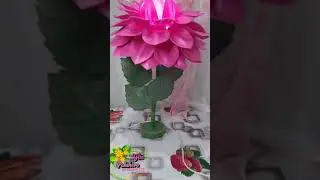 Ночник георгин