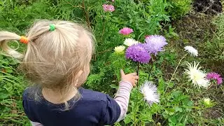 Дача,переделка клумбы.Новые дорожки.